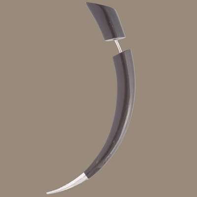 Horn